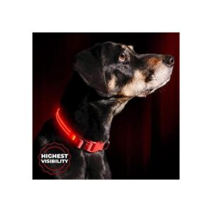 Collar para perros LED Illumiseen recargable por USB_1