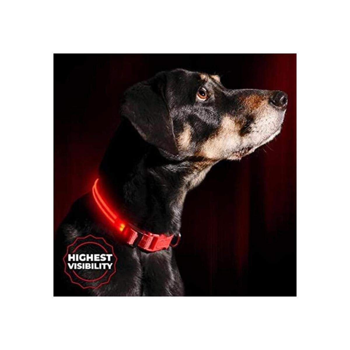 Collar para perros LED Illumiseen recargable por USB