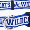 Pets First Kentucky Wildcats Collar_1