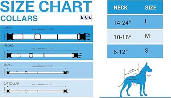 Pets First Kentucky Wildcats Collar_2