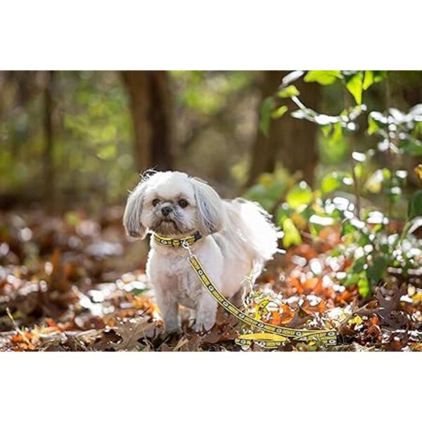 Pets First Green Bay Packers Leash_4