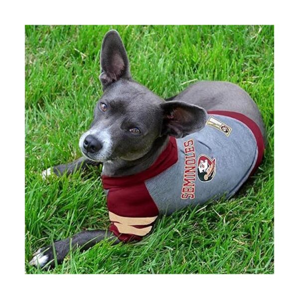 NCAA Florida State Seminoles Sudadera con capucha para_4