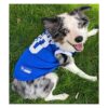Pets First NCAA Camiseta de baloncesto para mascotas_3