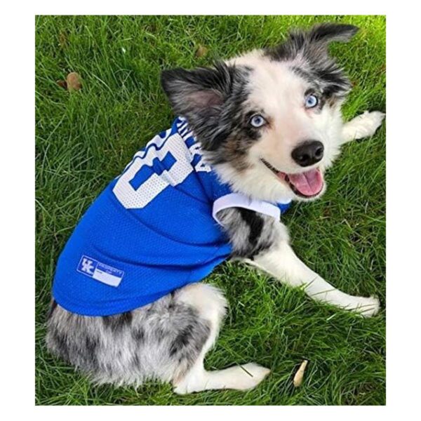 Pets First NCAA Camiseta de baloncesto para mascotas_3