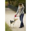 FLEXI New Comfort Multi Box Czarny