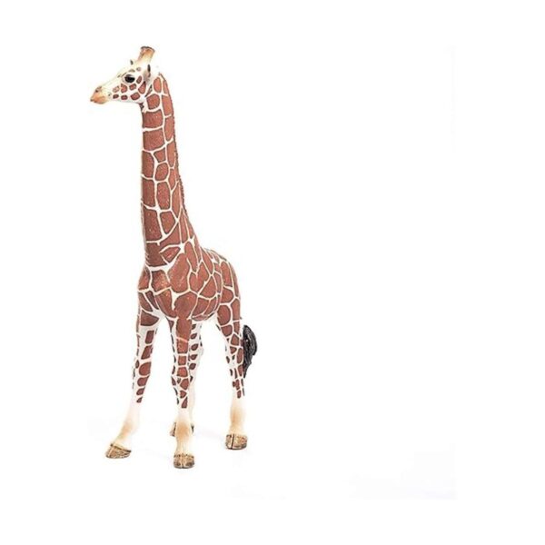 Schleich América del Norte Jirafa hembra figura de juguete._5