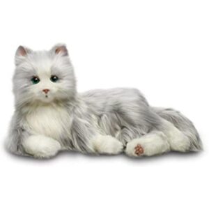 Entretenimiento para todos los gatos B7594 1_1