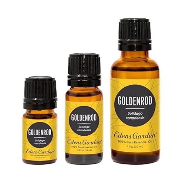 Edens Garden Aceite esencial Goldenrod 100 puro de grado_2