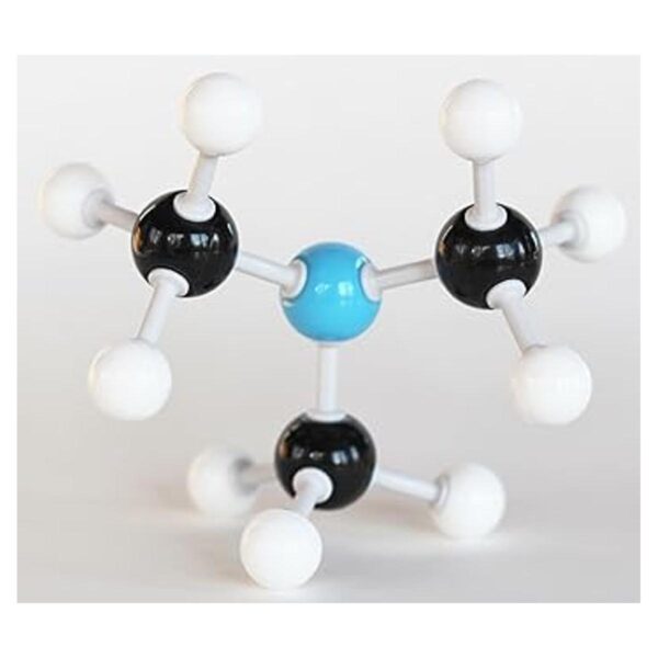 Duluth Labs Kit de estudiante modelo molecular de química