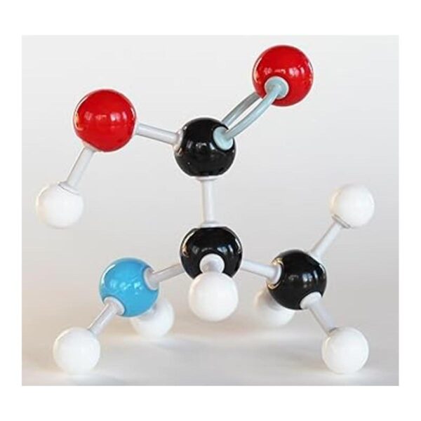 Duluth Labs Kit de estudiante modelo molecular de química