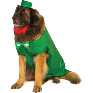Disfraz de mascota de Leprechaun Rubies_1