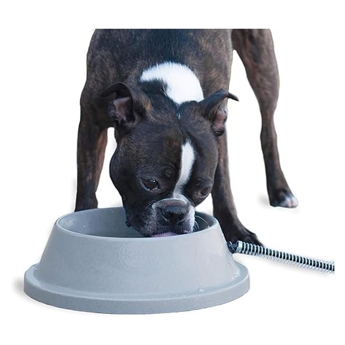 KH Pet Products Tazón térmico de agua para gatos y