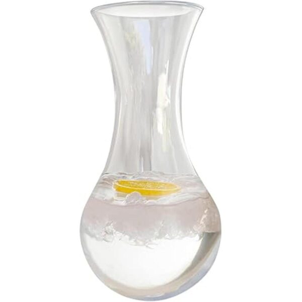Lilys Home Unbreakable Wine Decanter Premium Carafe is
