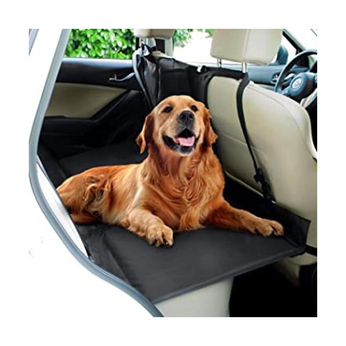 Puente para Mascotas Trasero y Delantero Ideal para