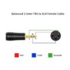 CableCreation 18 pulgadas Cable XLR de 0.138 in a XLR_2