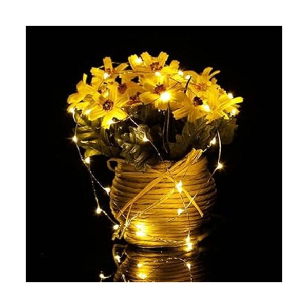 ER CHEN Cadena de luces LED regulables 165 pies 500