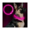 BSEEN Collar de perro LED recargable por USB collar de