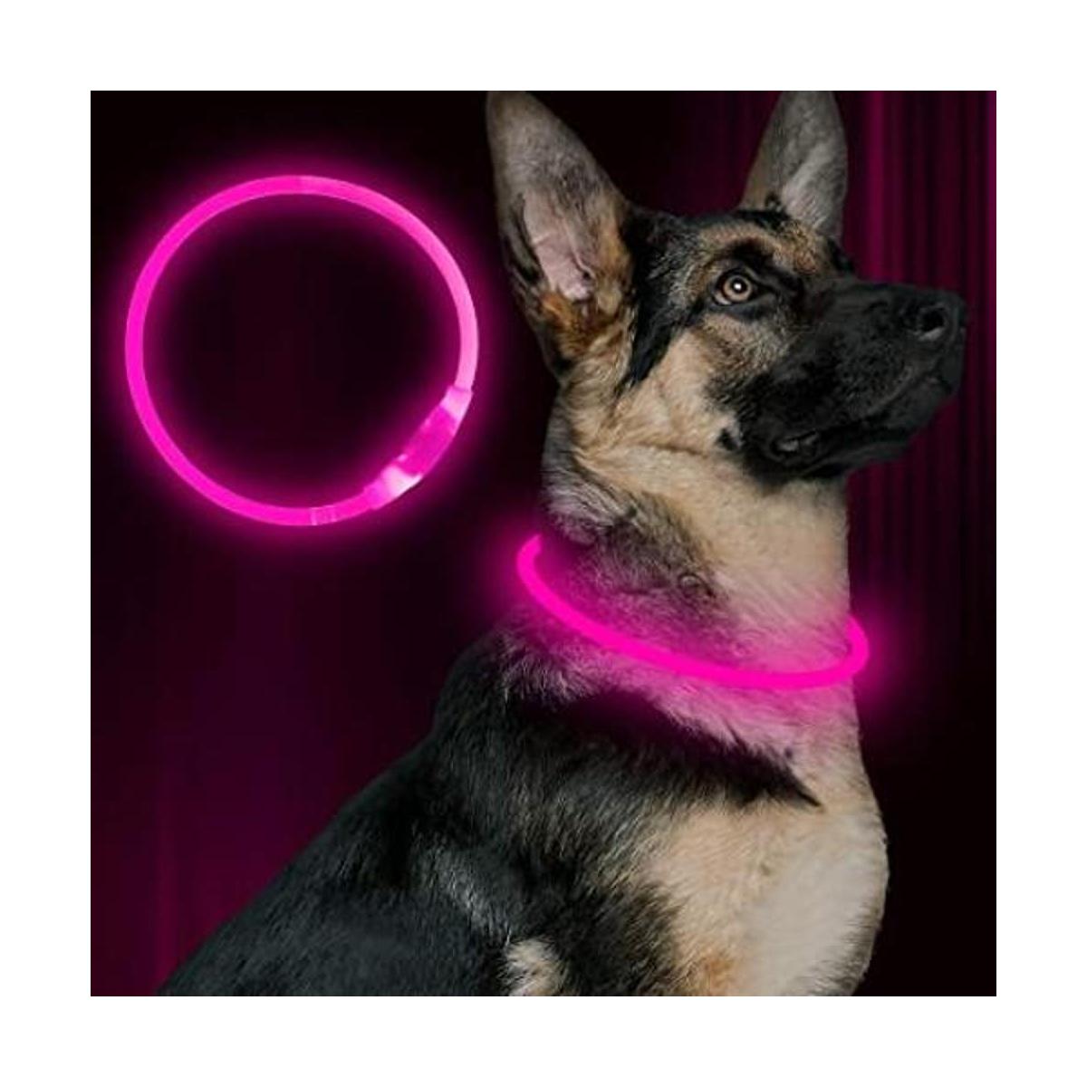 BSEEN Collar de perro LED recargable por USB collar de