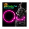 BSEEN Collar de perro LED recargable por USB collar de