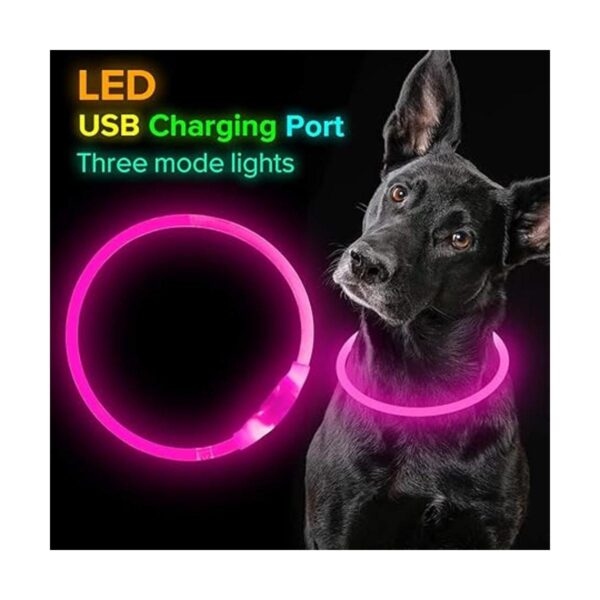 BSEEN Collar de perro LED recargable por USB collar de