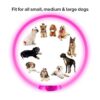 BSEEN Collar de perro LED recargable por USB collar de