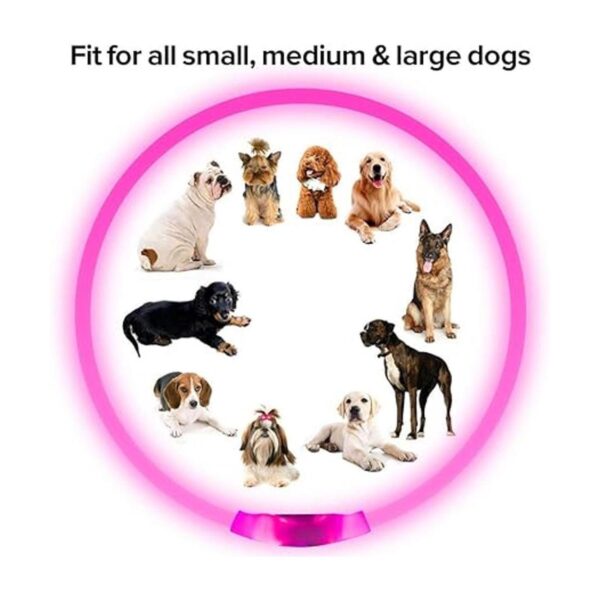 BSEEN Collar de perro LED recargable por USB collar de