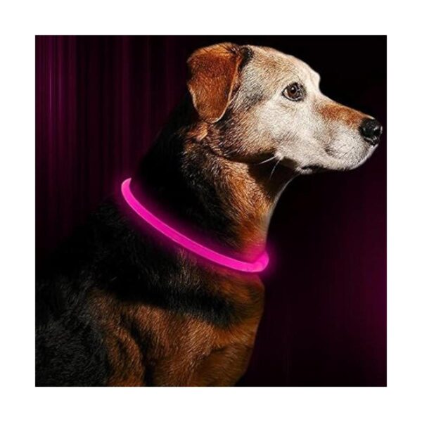 BSEEN Collar de perro LED recargable por USB collar de