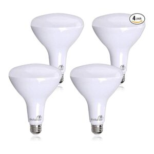 Bioluz Paquete de 4 bombillas LED BR40 más brillantes de_1