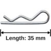 Apex RC Products 1815 Xtra Grandes RC CocheCamionBuggy_3