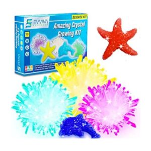 Evviva Sciences Kit de cultivo de cristal para niños Kit_1