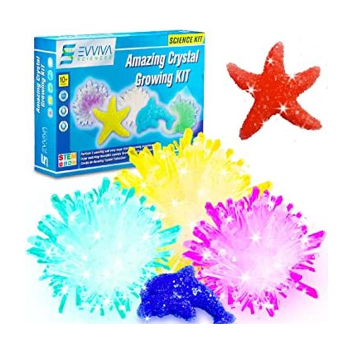 Evviva Sciences Kit de cultivo de cristal para niños Kit