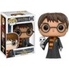 Funko Pop Harry Potter con Hedwig Tema de moda exclusivo_1