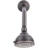 LDR 520 2412ORB Brazo de ducha de acero inoxidable de 8