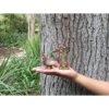 GlitZGlam Juego de arpa y silla para jardín de hadas en