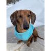 Suéter Gooby de forro polar con cremallera para perro_5