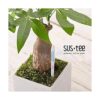 Sustee Aquameter Medium blanco recargable Sensor de_2