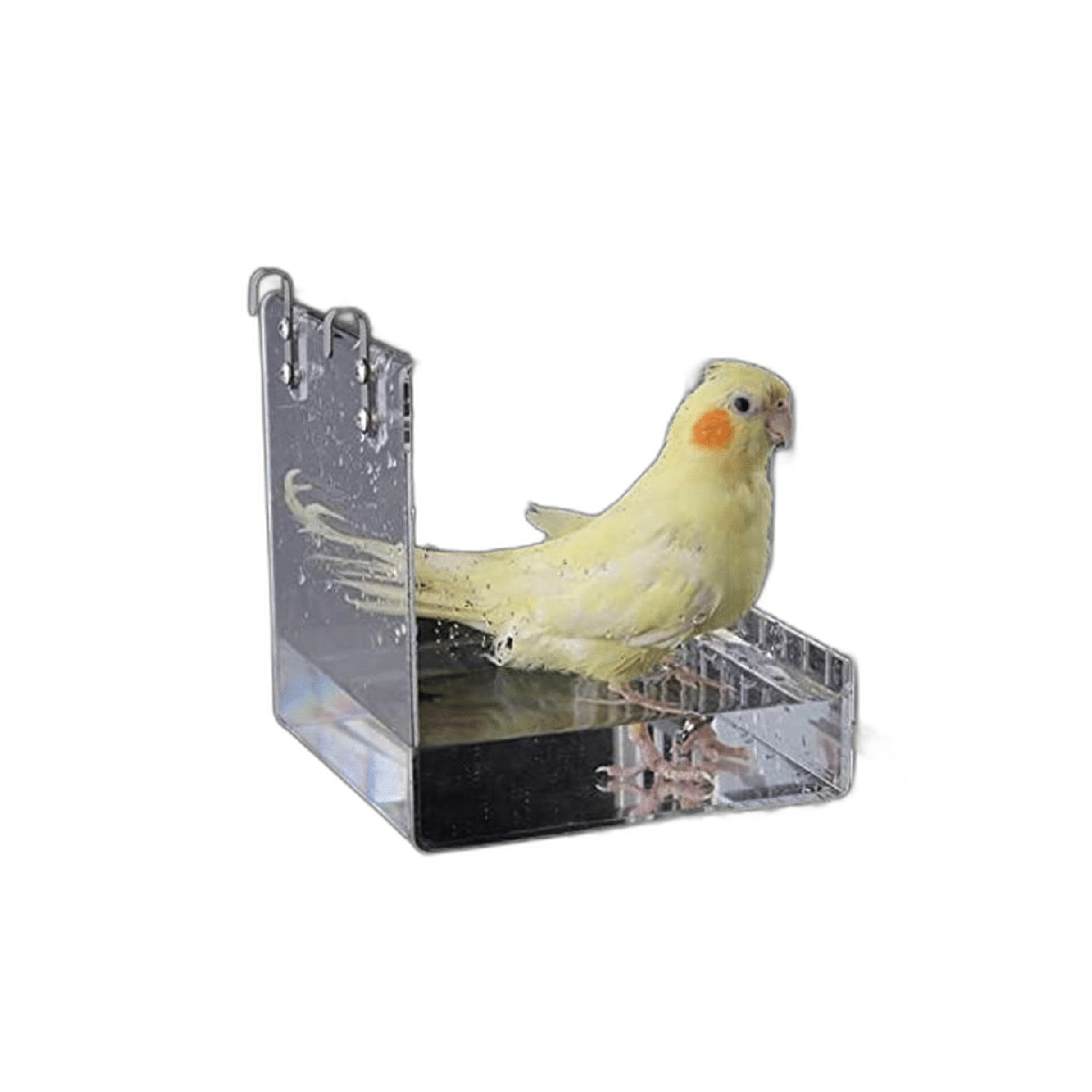 Suremita Hanging Bird Bath Cube Bird Bathtub Bath Shower