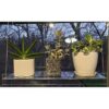 SupremeTech Estantes colgantes de acrílico para ventanas