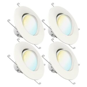 Sunco Lighting Foco LED empotrable de 56 pulgadas_1