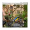 SunGrow Puente de escalera para pájaros ayuda a las aves