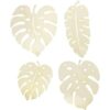 SummerRay 20 hojas de Monstera de madera corte láser_1