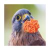 Sumind 80 bolas de ratán para pájaros juguetes de mimbre