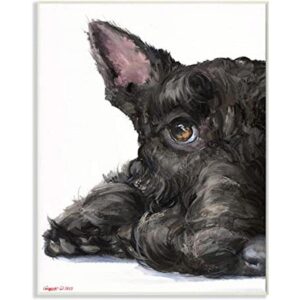 Stupell Industries Sleepy Scottish Terrier Retrato_1