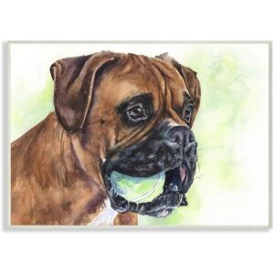 Stupell Industries Boxeador con bola Perro Mascota Animal_1