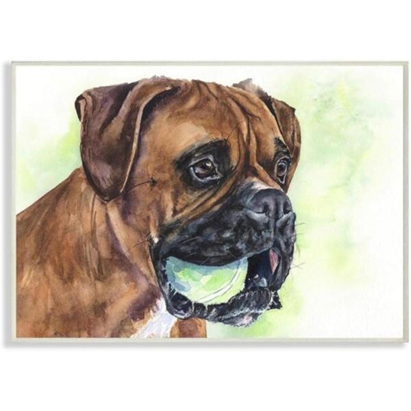 Stupell Industries Boxeador con bola Perro Mascota Animal_1