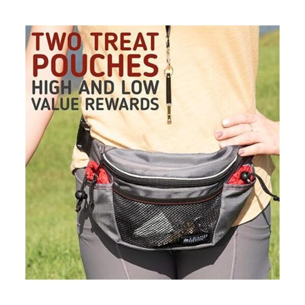 Straphboss Riñonera de entrenamiento para perros bolsa