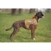 Stpiatue Chaleco táctico para perro arnés a prueba de_5