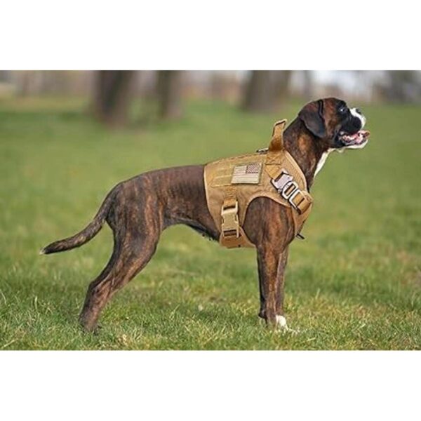 Stpiatue Chaleco táctico para perro arnés a prueba de_5
