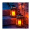 SteadyDoggie Paquete de 2 faroles solares verdes Luces_5