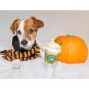 Star Pups Juguete de café para perro con leche de
